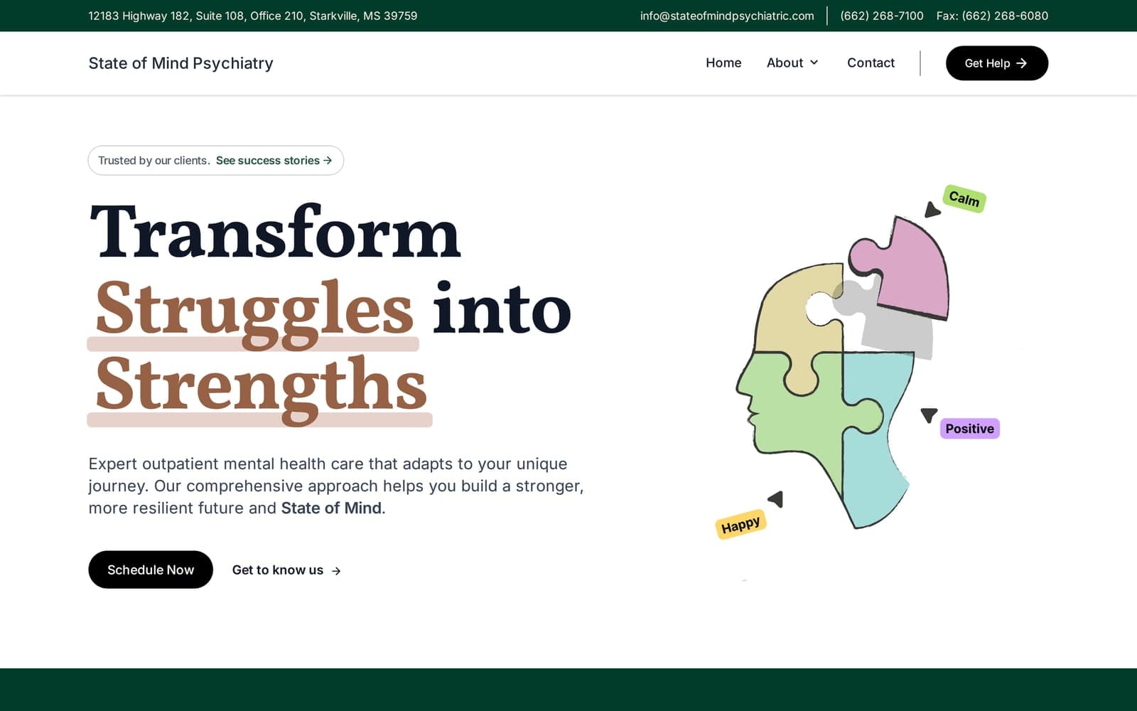 The State of Mind Psychiatry homepage: 'Transform Struggles into Strengths' beside a puzzle-piece illustration of a head